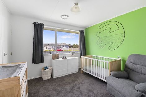 Photo of property in 63 Hinemoa Street, Levin, 5510