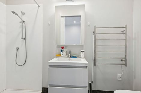 Photo of property in Aniva Terrace, 12 Arney Street, Newtown, Wellington, 6021