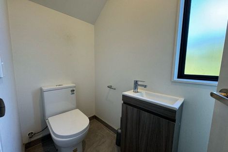 Photo of property in 11 Ti Kouka Lane, Sandringham, Auckland, 1025