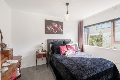 Photo of property in 35c Scantlebury Street, Tauranga South, Tauranga, 3112