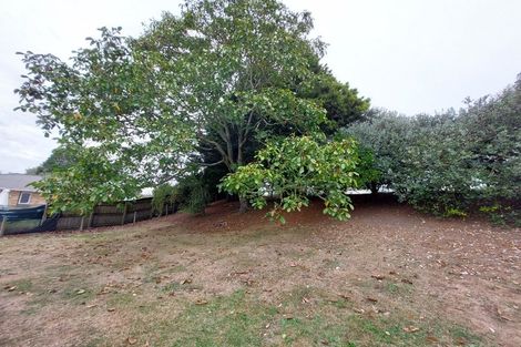 Photo of property in 11 Wiremu Street, Hamilton East, Hamilton, 3216