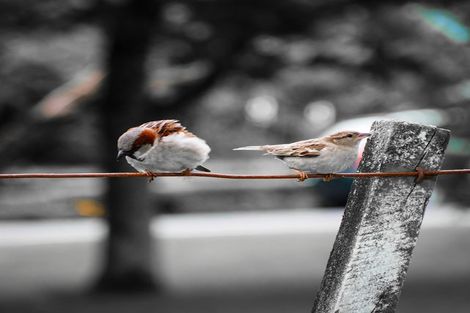 Photo of property in 2b Hartley Avenue, Carterton, 5713