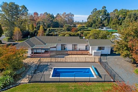 Photo of property in 191 Papatu Road, Manutuke, Gisborne, 4072