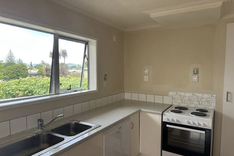 Photo of property in 1126 Cameron Road, Gate Pa, Tauranga, 3112