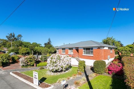 Photo of property in 3 Pottinger Street, Green Island, Dunedin, 9018