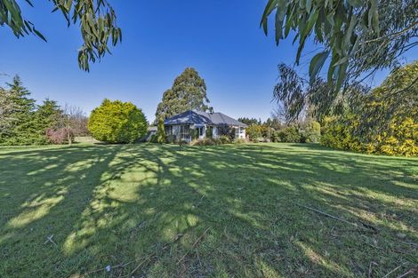 Photo of property in 201 Karanga Road, Dunsandel, Leeston, 7682
