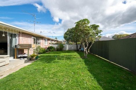 Photo of property in 60a Leefield Street, Blenheim, 7201