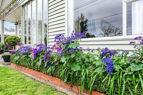 Photo of property in 20 Anderson Grove, Epuni, Lower Hutt, 5011