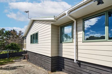 Photo of property in 123 Bedford Street, Cannons Creek, Porirua, 5024