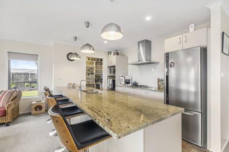 Photo of property in 3 Tuaia Street, Pyes Pa, Tauranga, 3112