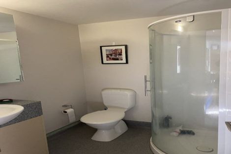 Photo of property in Dual Apartments, 411/142 Vivian Street, Te Aro, Wellington, 6011