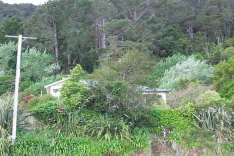 Photo of property in 52 Whitaker Street, Te Aroha, 3320