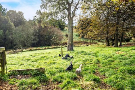 Photo of property in 80 Pye Road, Geraldine Downs, Geraldine, 7991