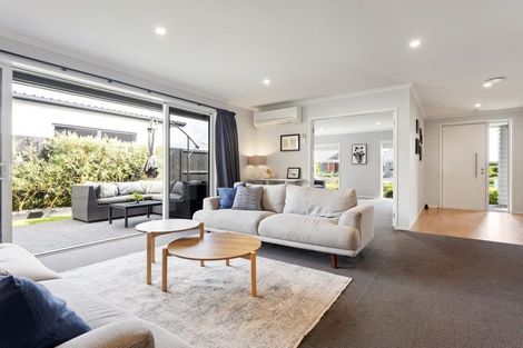 Photo of property in 33 Lulu Avenue, Chartwell, Hamilton, 3210
