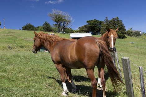 Photo of property in 449 Church Road, Kaitaia, 0482