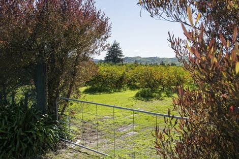 Photo of property in 1286 Matawai Road, Ormond, Gisborne, 4071