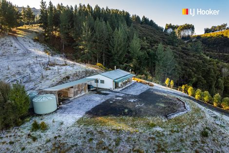 Photo of property in 236 Waipori Falls Road, Berwick, Outram, 9073