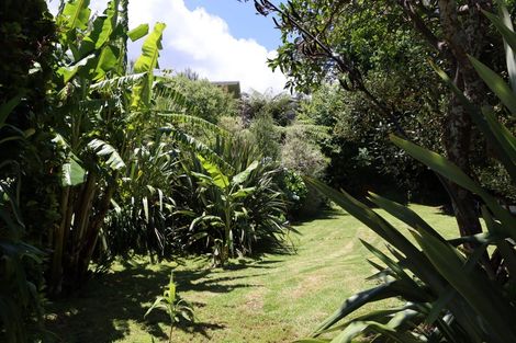 Photo of property in 217 Morningside Road, Morningside, Whangarei, 0110
