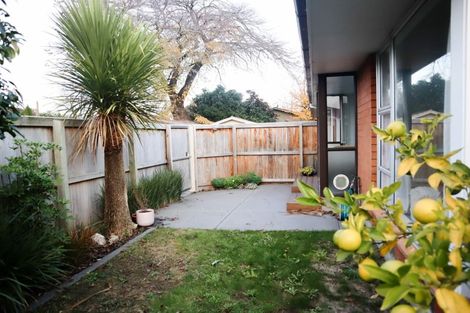 Photo of property in 1/52 Selwyn Street, Somerfield, Christchurch, 8024