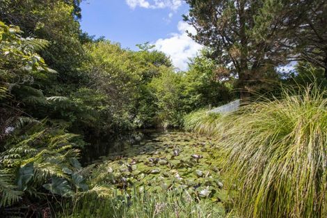 Photo of property in 11a Symonds Street, Waihi, 3610