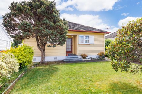 Photo of property in 59 Manson Street, Terrace End, Palmerston North, 4410