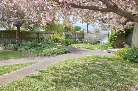 Photo of property in 1112 Caroline Road, Mayfair, Hastings, 4122