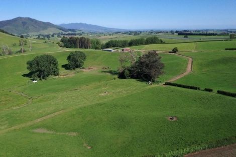 Photo of property in 210 Cruickshank Road, Tokanui, Te Awamutu, 3875