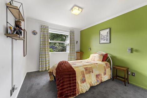 Photo of property in 22 Wineberry Avenue, Amberley, 7410