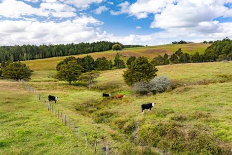Photo of property in 136 Knight Road, Ruatangata West, Whangarei, 0176