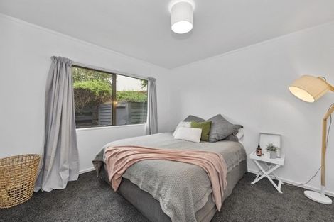 Photo of property in 8a Park Terrace, Hamilton Central, Hamilton, 3204