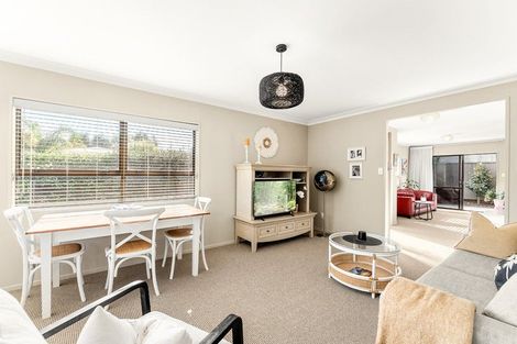Photo of property in 61 Campbell Road, Mount Maunganui, 3116