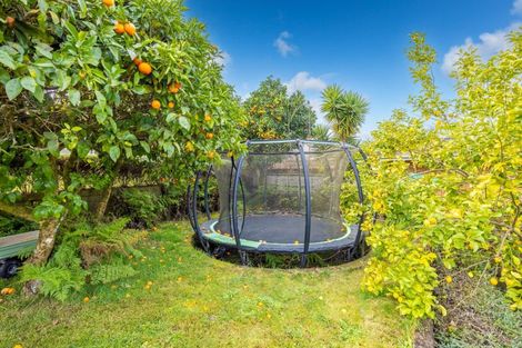 Photo of property in 263 Douglas Avenue, Te Awamutu, 3800