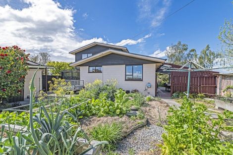 Photo of property in 29 Pultney Street, Leeston, 7632