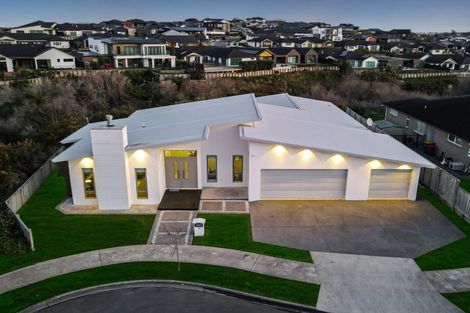 Photo of property in 14 Platina Place, Flagstaff, Hamilton, 3210