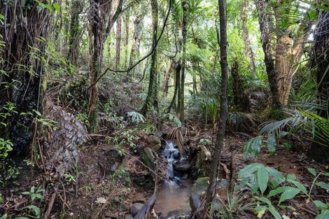 Photo of property in 315 Rangihau Road, Coroglen, Whitianga, 3591
