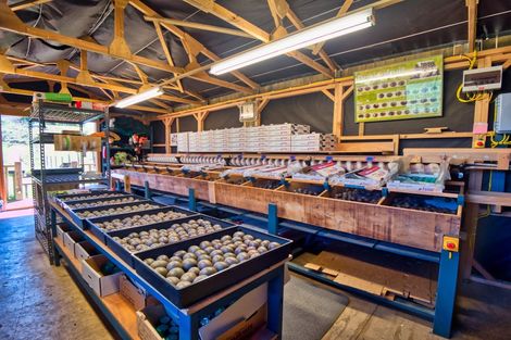 Photo of property in 427 Soldiers Road, Lower Kaimai, Tauranga, 3171