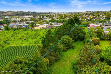 Photo of property in 315a Glengarry Road, Glen Eden, Auckland, 0602