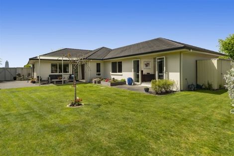 Photo of property in 144 Carmichael Road, Bethlehem, Tauranga, 3110