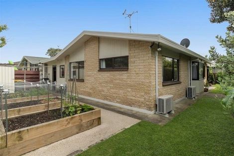 Photo of property in 50a Myres Street, Otumoetai, Tauranga, 3110