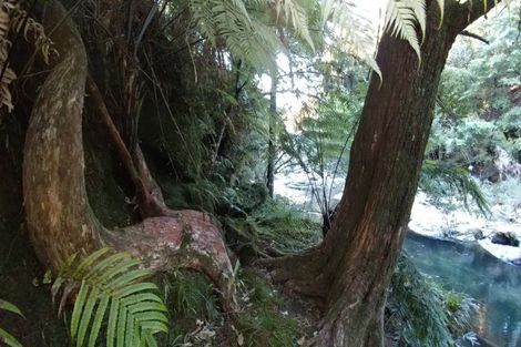 Photo of property in 210 Wainui Road South, Whakamarama, Katikati, 3181