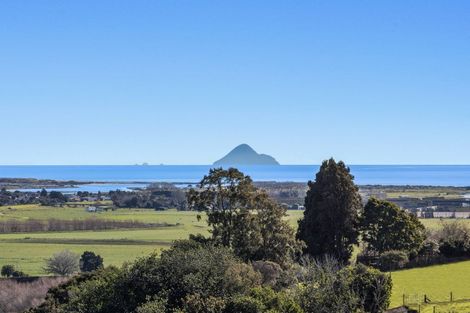 Photo of property in 306 Tablelands Road, Tirohanga, Opotiki, 3197