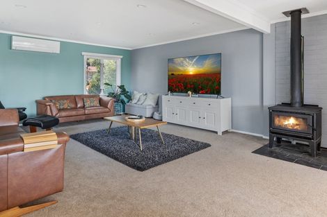 Photo of property in 19 Gilbert Street, Richmond, 7020
