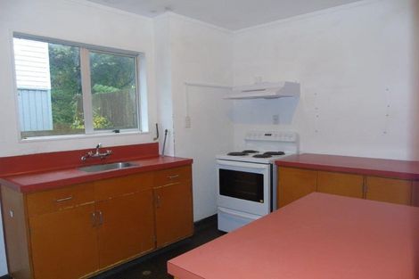 Photo of property in 305a Mansfield Street, Newtown, Wellington, 6021