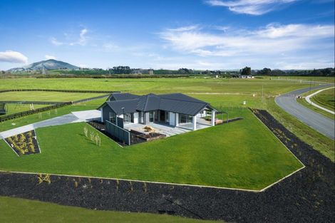 Photo of property in 46 Sherwin Street, Pirongia, 3802