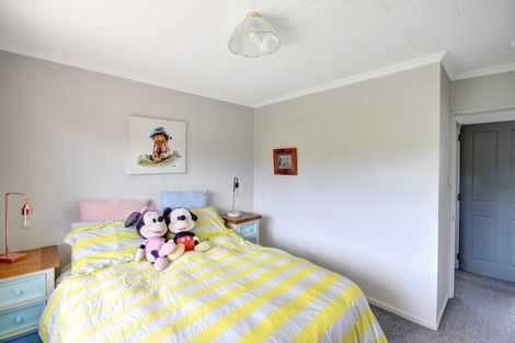 Photo of property in 9 Lynas Street, Outram, 9019