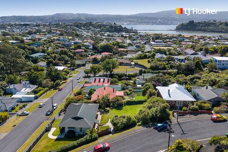 Photo of property in 38 Spottiswoode Street, Andersons Bay, Dunedin, 9013