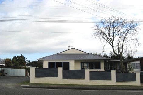 Photo of property in 251 Cambridge Street, Levin, 5510