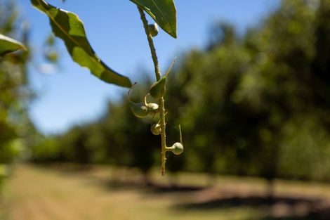 Photo of property in 68 Haycock Road, Hope, Richmond, 7081
