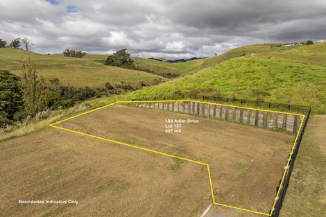 Photo of property in 209 Adler Drive, Ohauiti, Tauranga, 3112