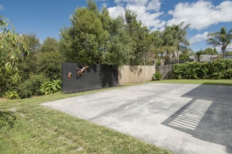 Photo of property in 17 Milbrook Place, Chartwell, Hamilton, 3210